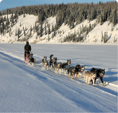 Husky Homestead 